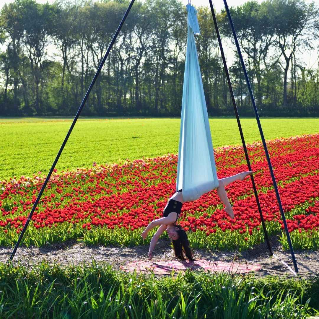 Aerial Yoga Vs Aerial Hammock