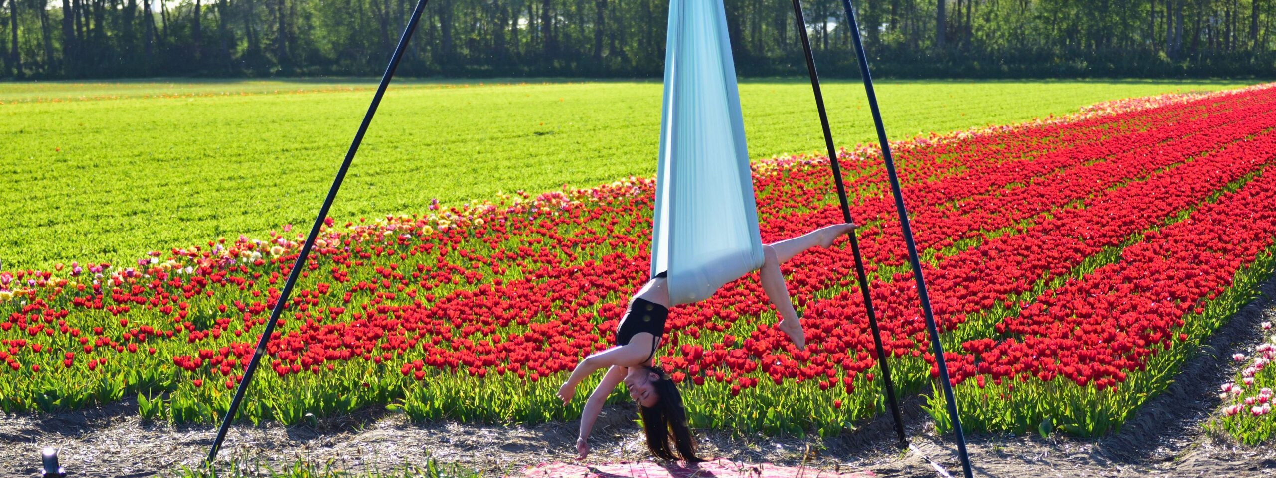 Aerial rig for Lyra