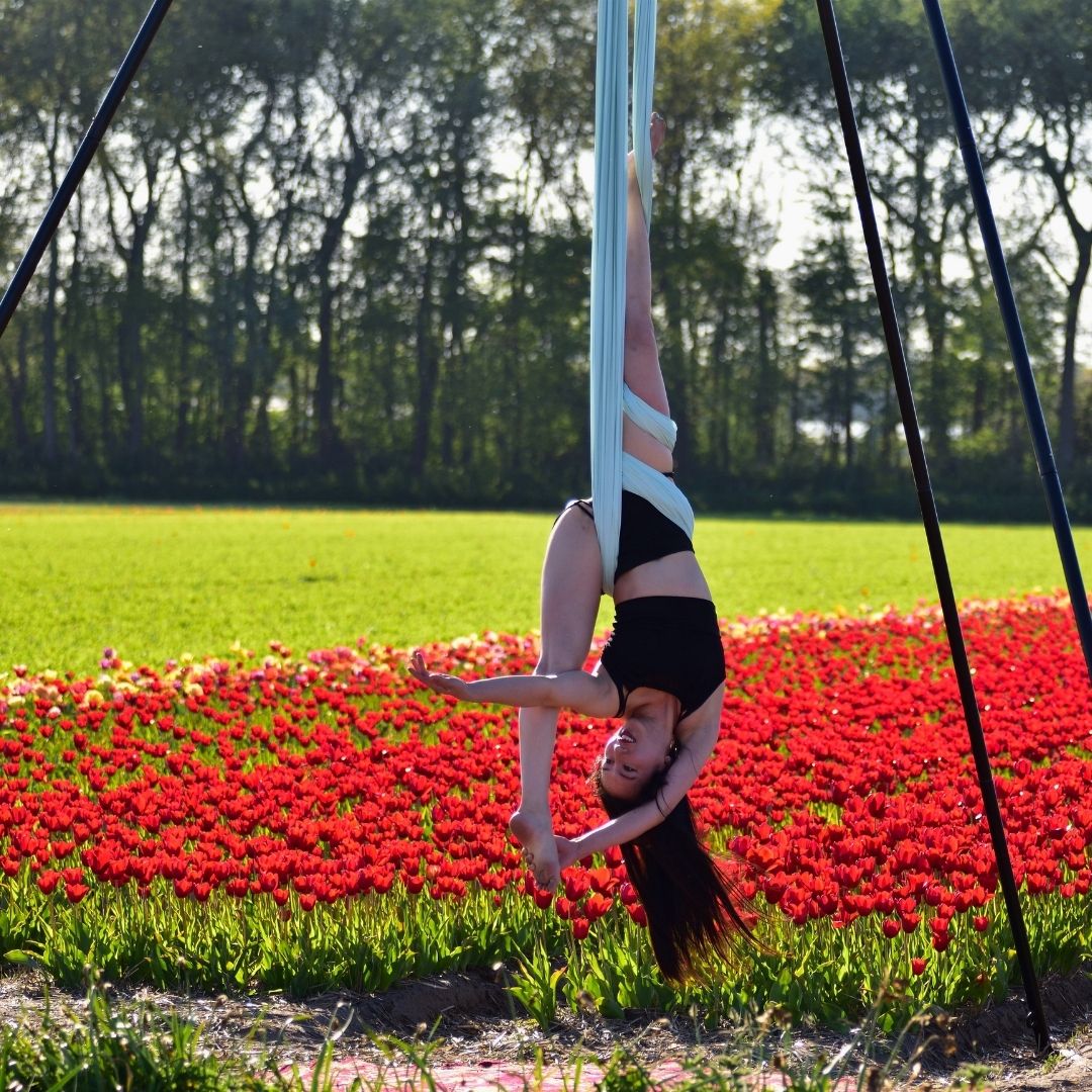 Aerial Rig For Lyra